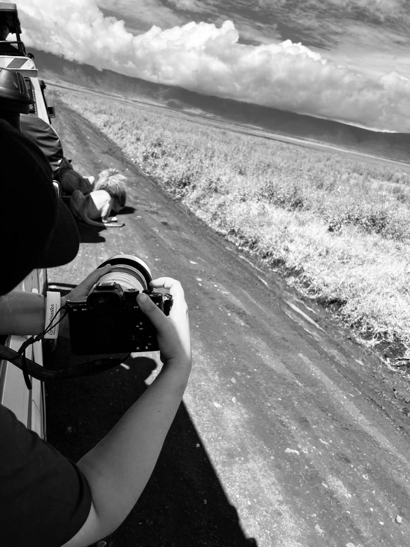 MlionH in the field, photo 3