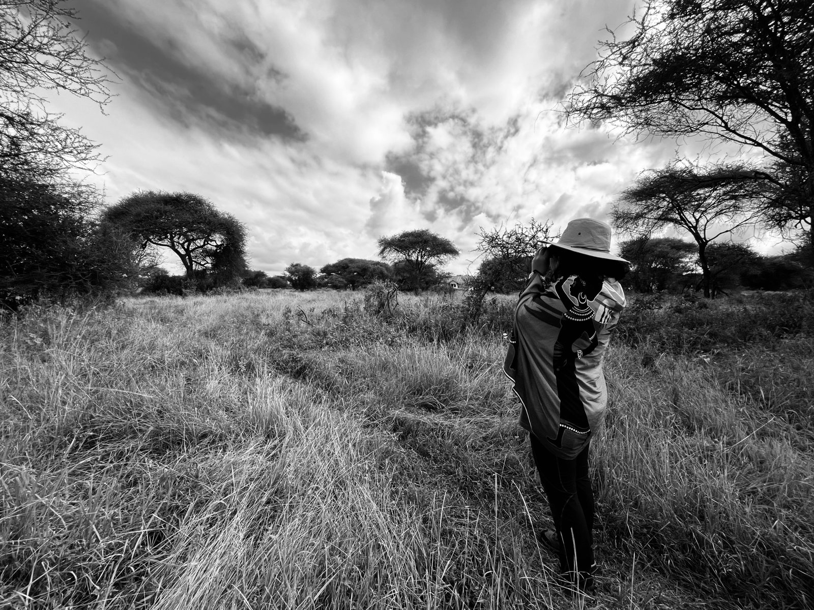 MlionH in the field, photo 4