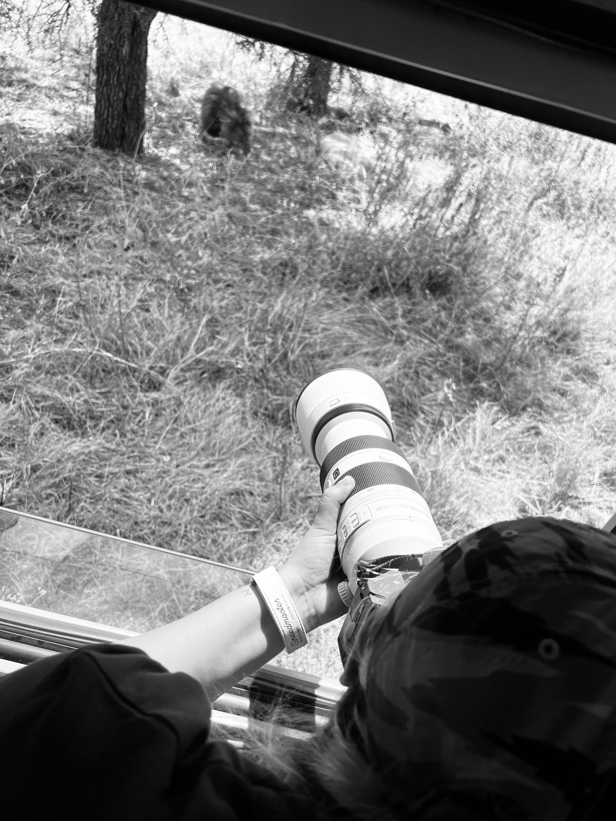 MlionH in the field, photo 7